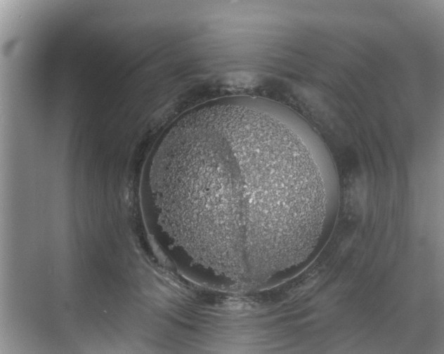 X0000068840608200605081241