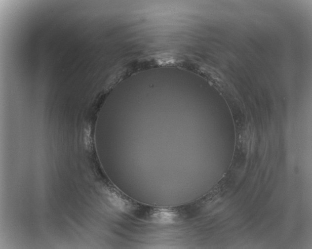 X0000068840610200605081241