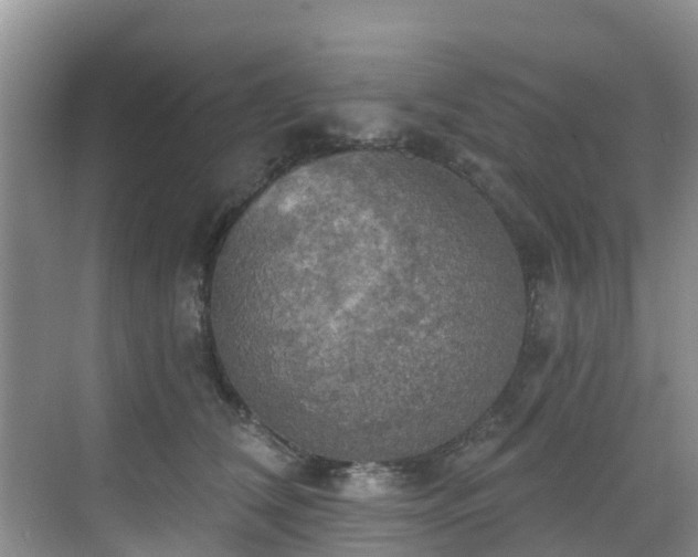 X0000068840612200605081241