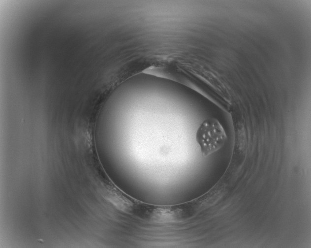 X0000068840613200605081241