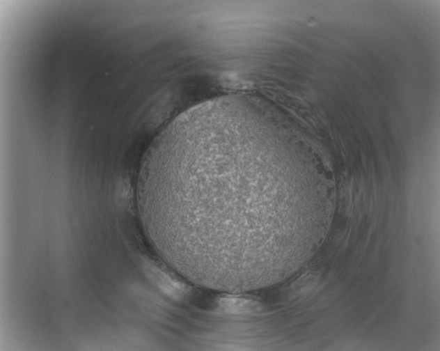 X0000068840614200605081241