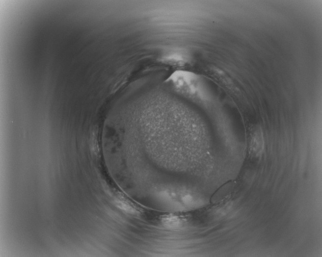 X0000068840616200605081241