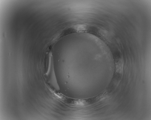 X0000068840618200605081241