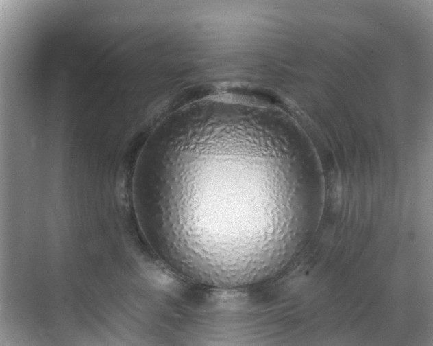 X0000068840619200605081241