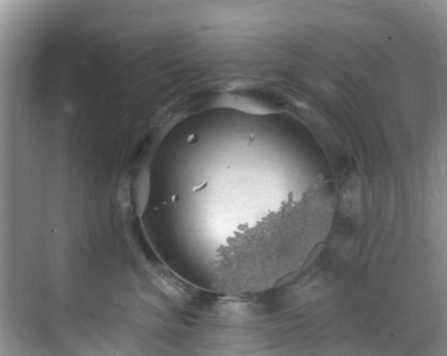 X0000068840620200605081241