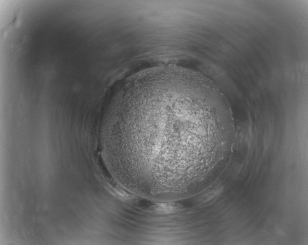 X0000068840623200605081241