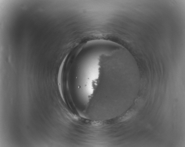 X0000068840624200605081241