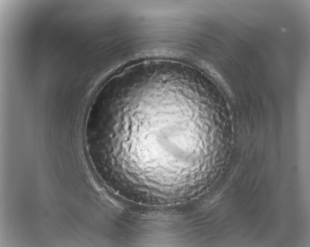 X0000068840625200605081240