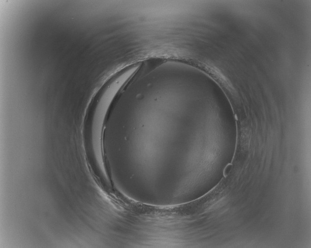 X0000068840626200605081240