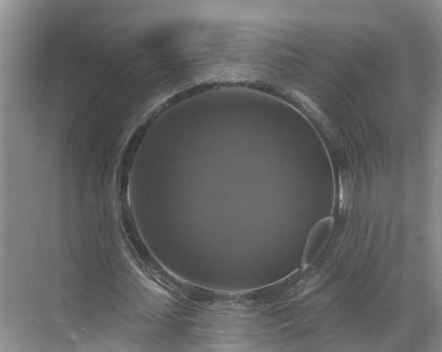 X0000068840627200605081240