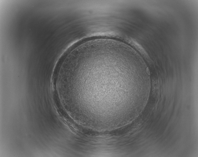 X0000068840628200605081240