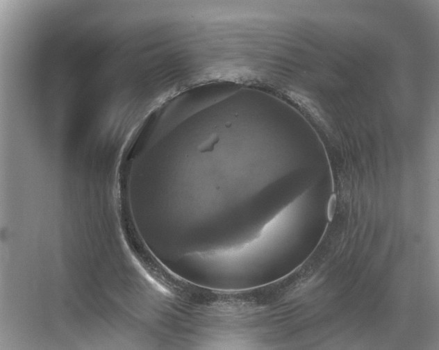 X0000068840630200605081240