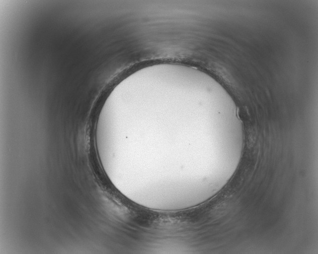 X0000068840632200605081240