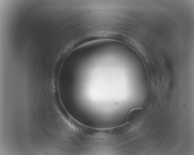 X0000068840633200605081240