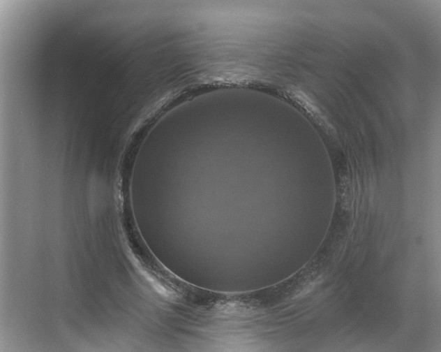 X0000068840634200605081240