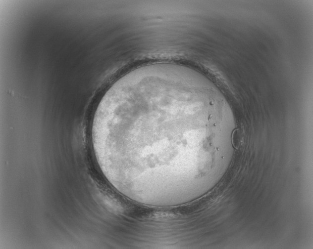 X0000068840636200605081240