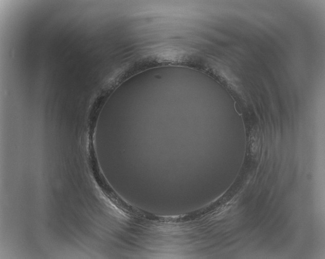 X0000068840637200605081240