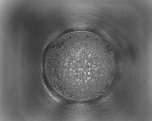 X0000068840638200605081240