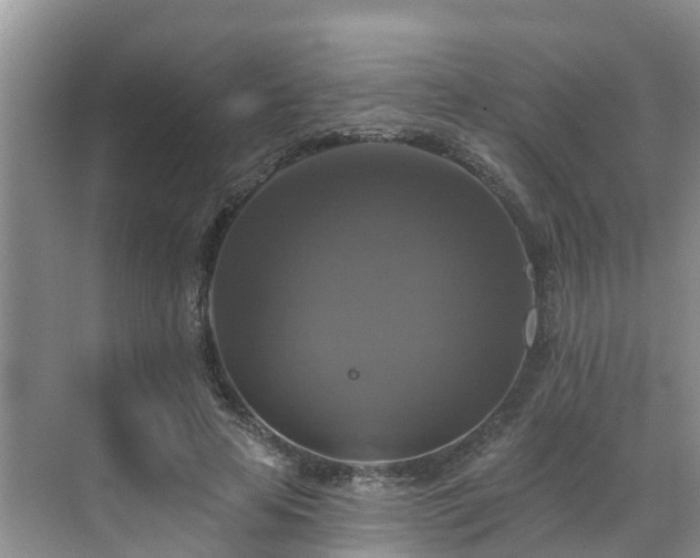 X0000068840641200605081240