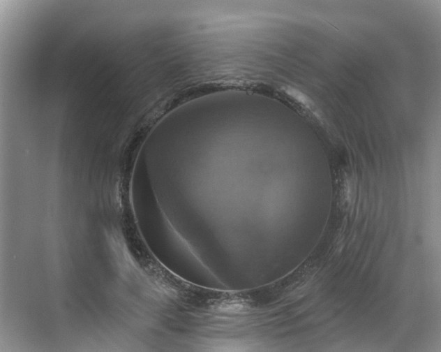 X0000068840643200605081240