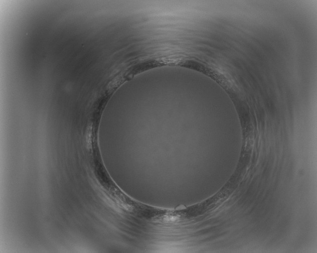 X0000068840647200605081240