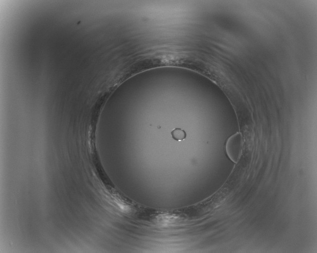 X0000068840650200605081240