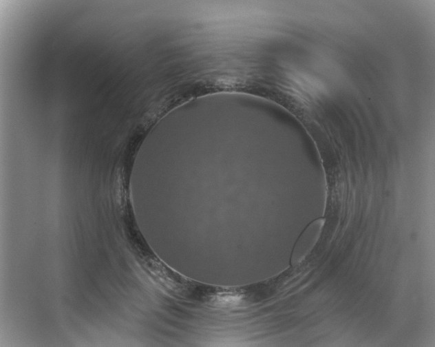 X0000068840651200605081240