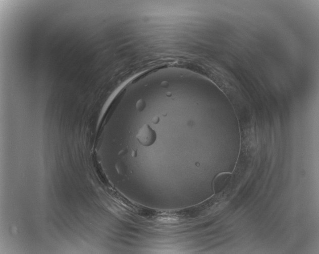 X0000068840653200605081240