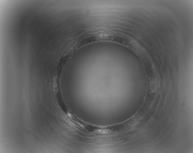 X0000068840654200605081240