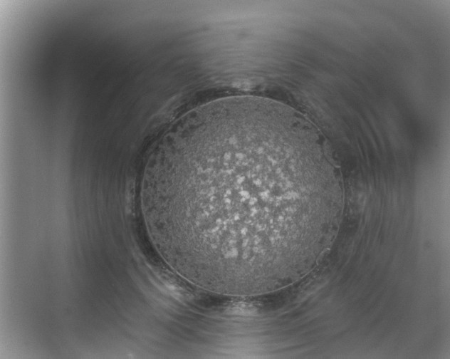 X0000068840656200605081240