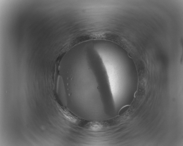 X0000068840658200605081240