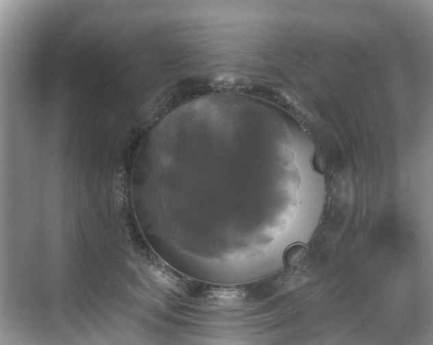 X0000068840659200605081240