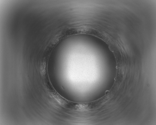 X0000068840660200605081240