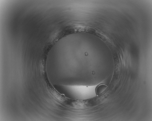 X0000068840661200605081240