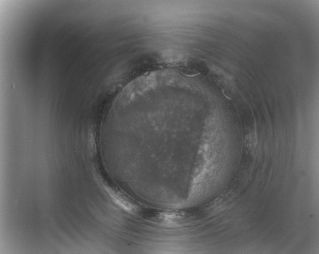 X0000068840662200605081241