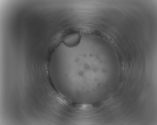 X0000068840663200605081241