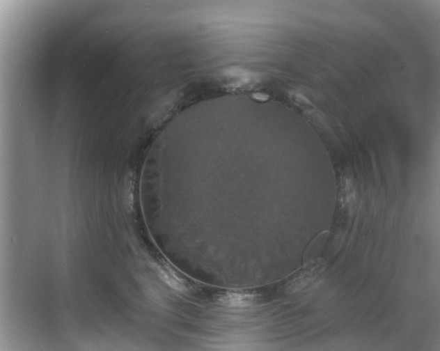 X0000068840664200605081241