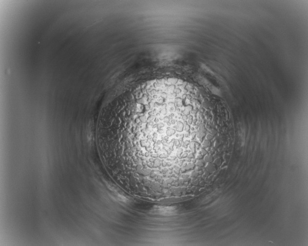 X0000068840665200605081241