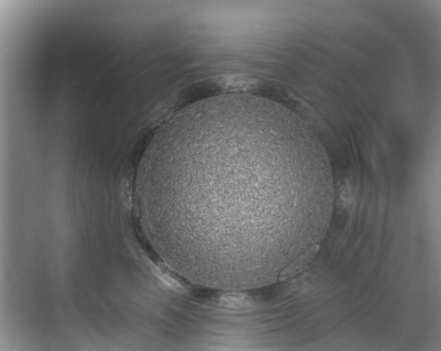 X0000068840666200605081241