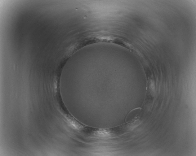 X0000068840668200605081241