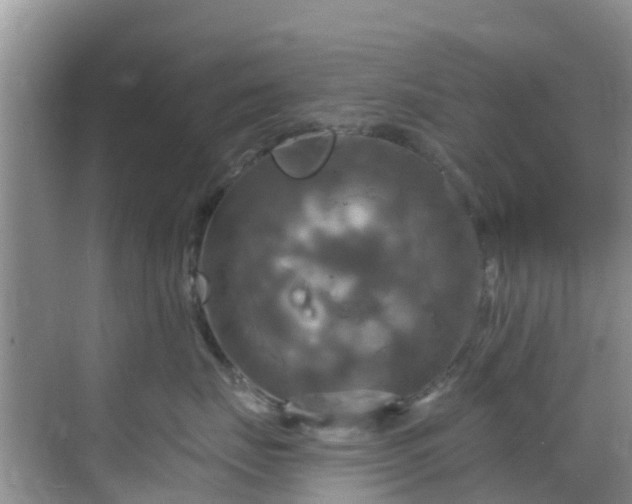 X0000068840671200605081241