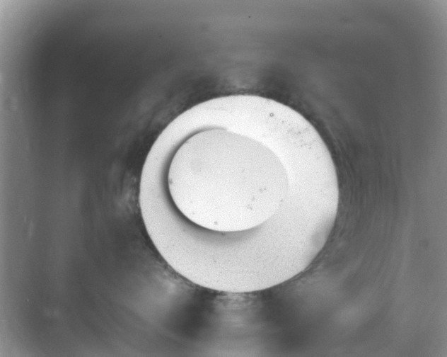 X0000068840672200605081241