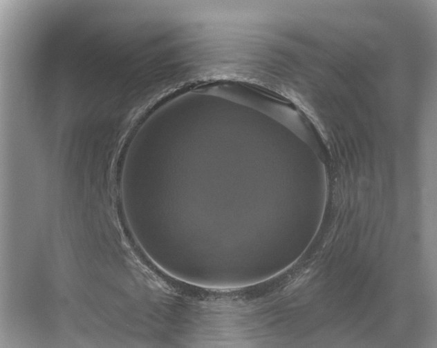 X0000068840673200605081240