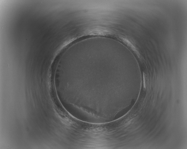 X0000068840675200605081240