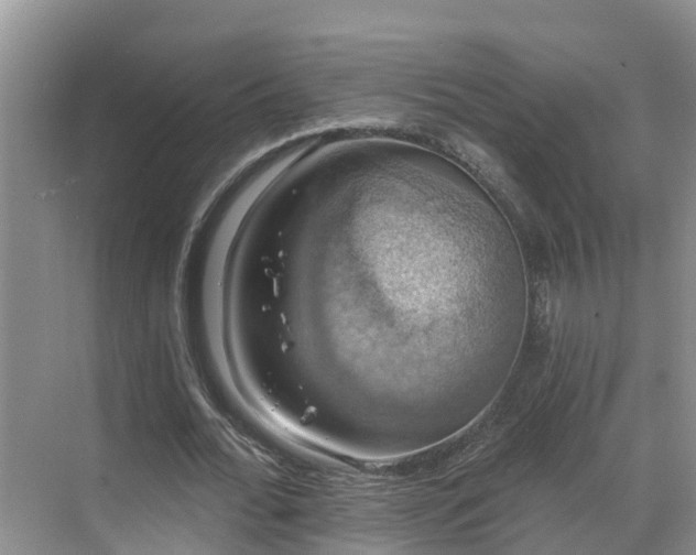 X0000068840676200605081240