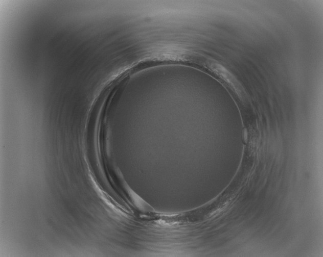 X0000068840677200605081240