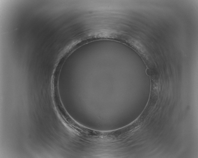 X0000068840678200605081240