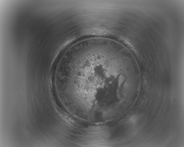 X0000068840679200605081240