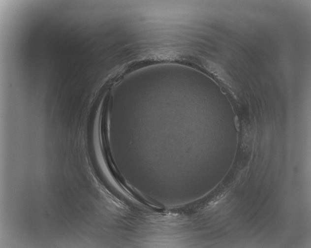 X0000068840681200605081240