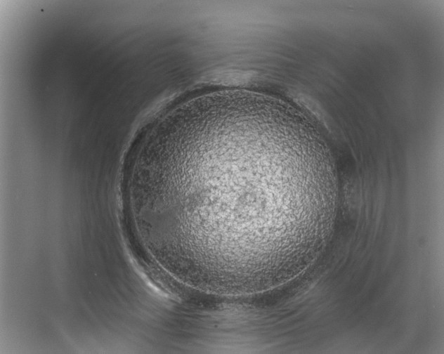 X0000068840682200605081240